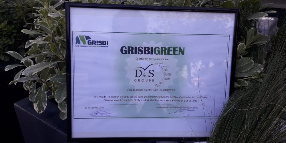 GRISBI GREEN